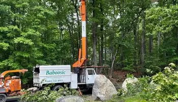 Tree Work for Baboosic Tree & Landscape in Merrimack, NH