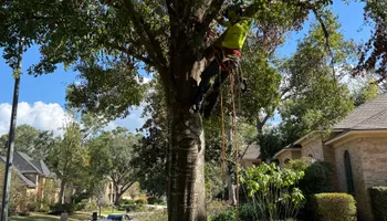 Hardscaping for The Outdoor Buddies in Houston, TX