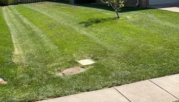 Tree Trimming for Wright Lawn Services in Ozark, MO