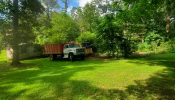 Tree Removal for Puckett's Tree Service in Decatur County, TN