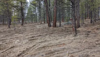 Tree Removal for Bailey's Cutting LLC in Bend, Oregon