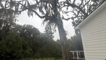 Tree Removal for Hawkins Tree Service & Land Management in Richmond Hill, GA