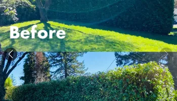 Tree Removal for T&S Tree Care LLC in Portland, OR
