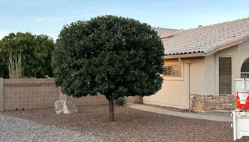 Tree Removal for A to Z Grounds Keeping in Sierra Vista, AZ