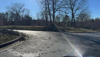 Tree Removal for Meade tree service in Greensboro, NC