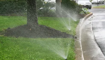 Landscape Design for Florida Roots Inc in Miami, FL