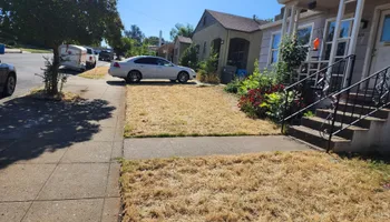 Lot Clearing for Gregg Yard Maintenance in Paradise, CA