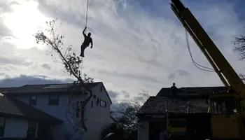 Tree Removal for Spruce Creek Tree Service in Port Orange, FL