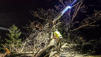Tree Removal for Down To Earth Tree Service in Red Wing,  Minnesota