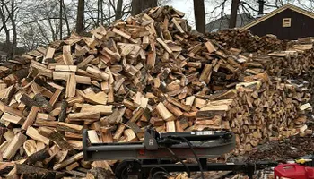 Tree Removal for Silver City Tree Service in Taunton, MA