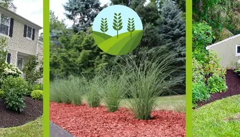 Mowing for Dibs Landscaping LLC in Cheshire, CT