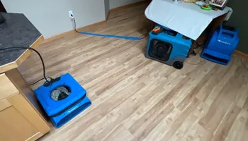 Water Mitigation for No Fear Restoration LLC in Port Angeles, WA