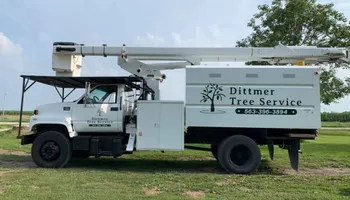 Tree Removal for Dittmer Tree Service in Davenport, IA