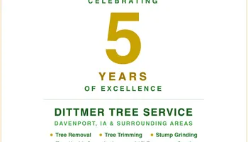 Tree Removal for Dittmer Tree Service in Davenport, IA