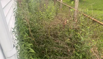 Mowing for KY Lawn Care in Springfield, IL
