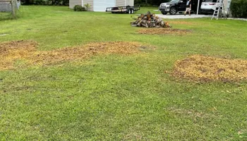 Tree Removal for Alford’s Tree and Stump Services LLC in Lake City, FL