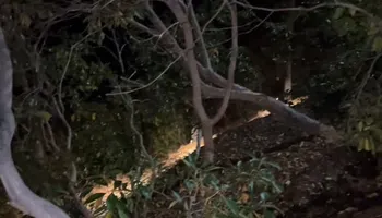 Electrical Panel Upgrades for AMPED UP ELECTRICAL in Spartanburg, SC