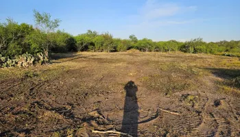 Land Clearing & Demolition for Hernandez Land Clearing Services in Alice, TX