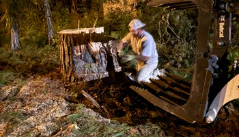 Tree Removal for Hawkins Tree Service & Land Management in Richmond Hill, GA