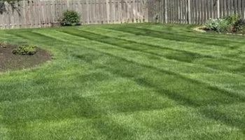 Fertilization Treatments for Chief Lawn Care in Lee's Summit, MO
