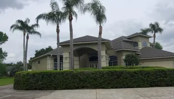Tree Removal for Regal Tree Service and Stump Grinding in Wauchula, FL
