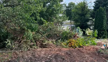 Land Clearing for Michael Way Acres in Woodlawn, TN