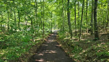 Land Clearing & Demolition for Whaley Land Development in Athens, TN