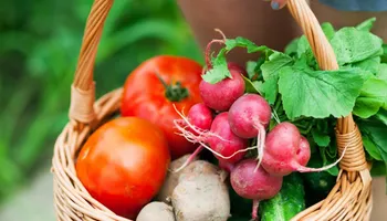 Lawn Mowing and Maintenance for Chief Lawn Care in Lee's Summit, MO