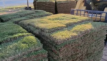 Irrigation Installations & Redesign for AMV Irrigation Specialist LLC in Midland County, TX