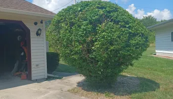 Mowing for Prime Landscaping 219 in Lake Station, IN