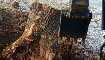 Septic Tank Cleaning for Cody's Excavation and Septic in Plainville, CT