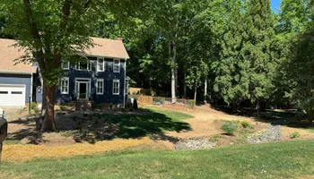 Tree Removal for Hickory Ridge Tree Service in Roxboro, NC