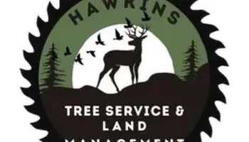 Tree Removal for Hawkins Tree Service & Land Management in Richmond Hill, GA