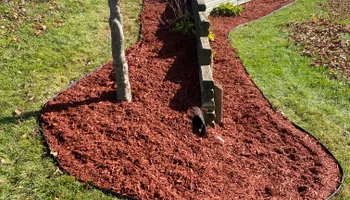 Mowing for AB Lawn Care in Plymouth, IN