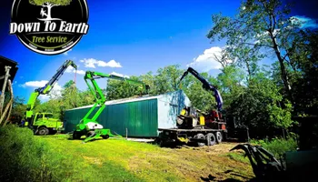 Tree Removal for Down To Earth Tree Service in Red Wing, MN