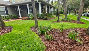 Landscape Design for Tezna Landscaping, Trees & Pavers in Valrico, FL