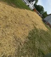 Mowing for Foothills Lawn and Landscape in North Carolina, NC