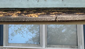 Painting and Drywall for Camalett Services in Perry, GA