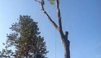 Concrete Services for Guzman's Landscaping Services in Austin, TX