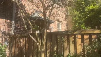 Tree Removal for Hawkins Tree Service & Land Management in Richmond Hill, GA