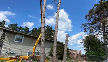 Tree Removal for K and Z Tree Care in Andover, MN