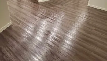 Our Process for Pro Clean Carpet Care in Sierra Vista, AZ