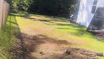 Tree Removal for Hawkins Tree Service & Land Management in Richmond Hill, GA