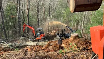 Land Clearing for Gibson Grade Works in Towns County, GA