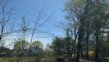 Tree Removal for Silver City Tree and Landscape in Taunton, MA