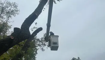 Tree Removal for Cross Family Tree Service in Kearney, MO