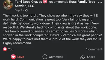 Tree Removal for Ross Family Tree Service LLC  in Hohenwald, TN