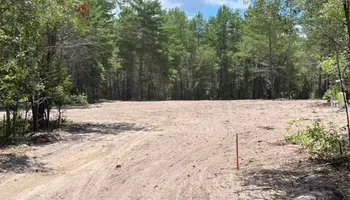 Land Clearing & Demolition for All American Excavating Inc in Brooksville,  FL