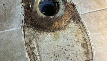Water Heater Services for PLUMBX in Inver Grove Heights, MN