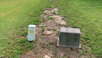 Stump Grinding for Anchor & Grind Stump in Chesapeake, VA